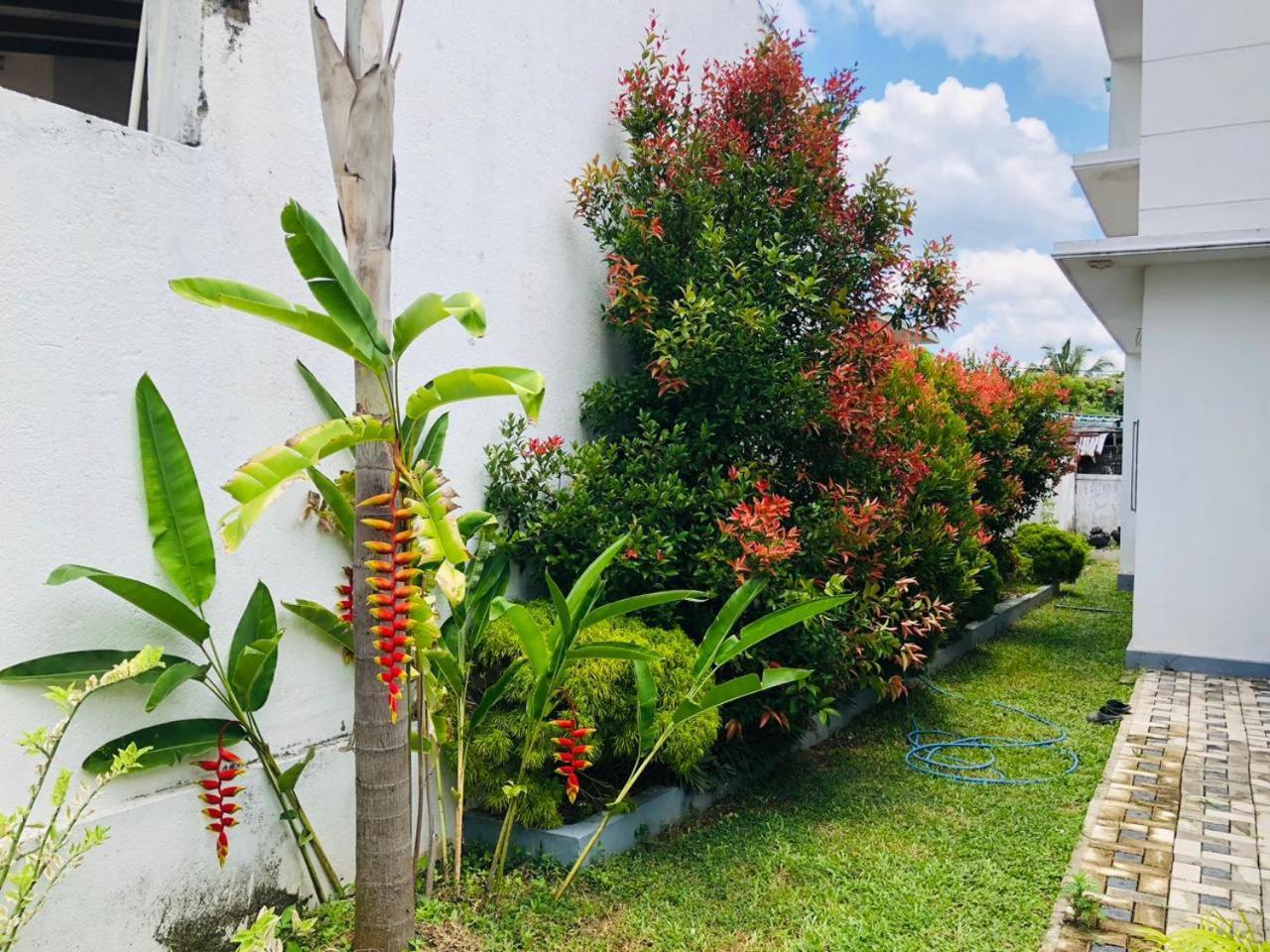 Vidushi Home Minuwangoda エクステリア 写真